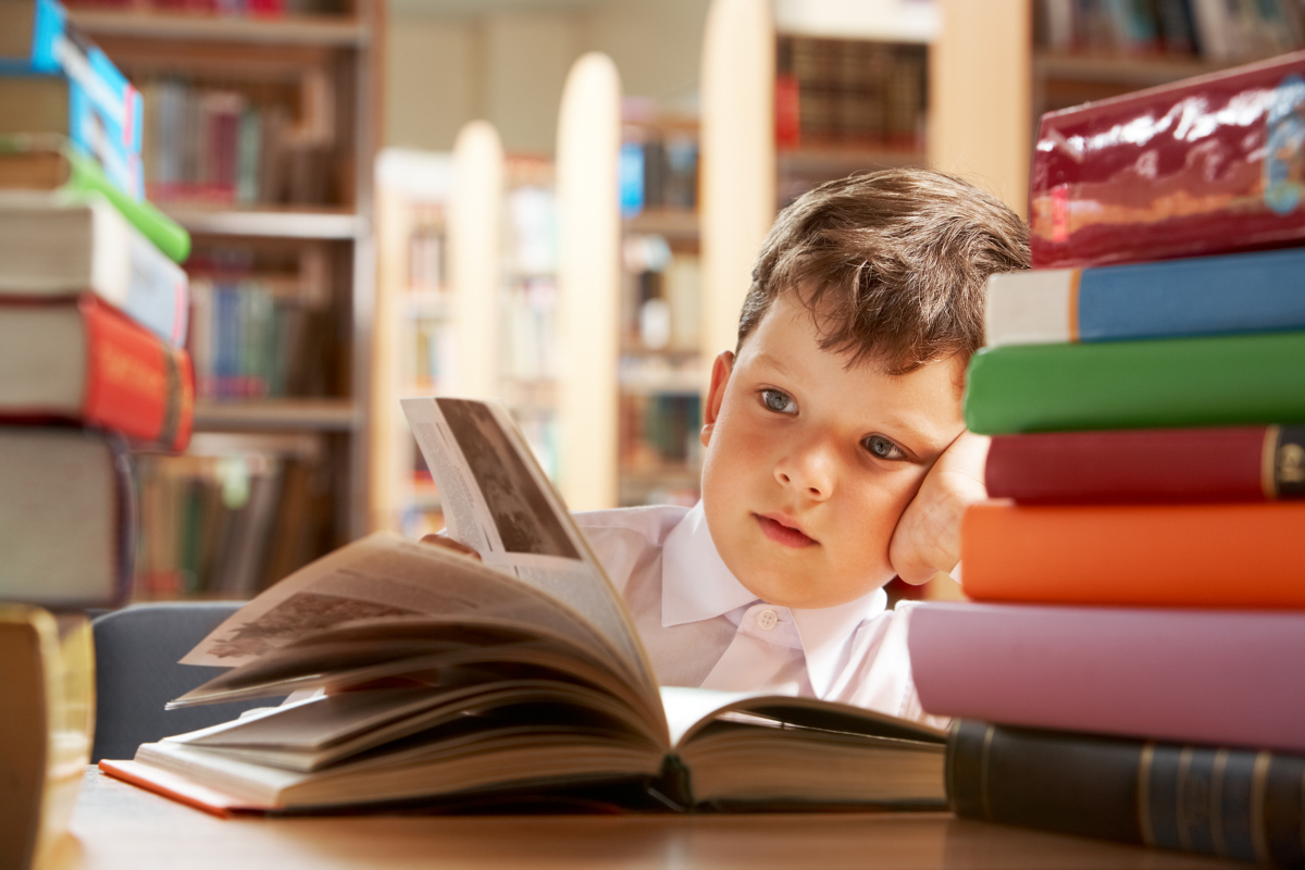 Close-up of cute boy reading book while preparing for lesson in library